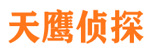 光泽侦探公司